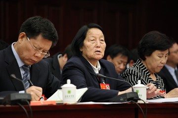 人大会议老代表申纪兰在发言