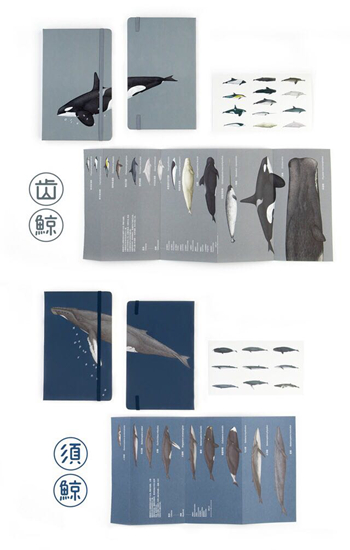 果壳商店的文创产品“鲸本”.jpg