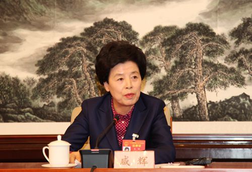 宁夏回族自治区主席咸辉答记者问.JPG