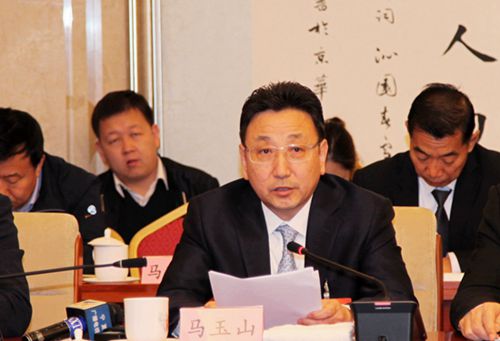 自治区科协副主席、宁夏吴忠仪表有限责任公司董事长发言.JPG