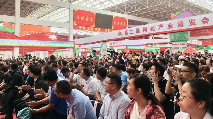 微信图片_20190701141630.jpg